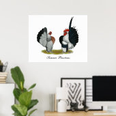 Poster Serama Bantams (Bureau à domicile)