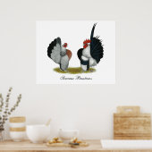 Poster Serama Bantams (Cuisine)