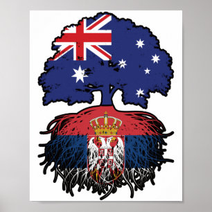Poster Serbie Serbe Australie racine des arbres