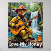 Poster Sérénade de cascade : Flux acoustique de l'ours (Devant)