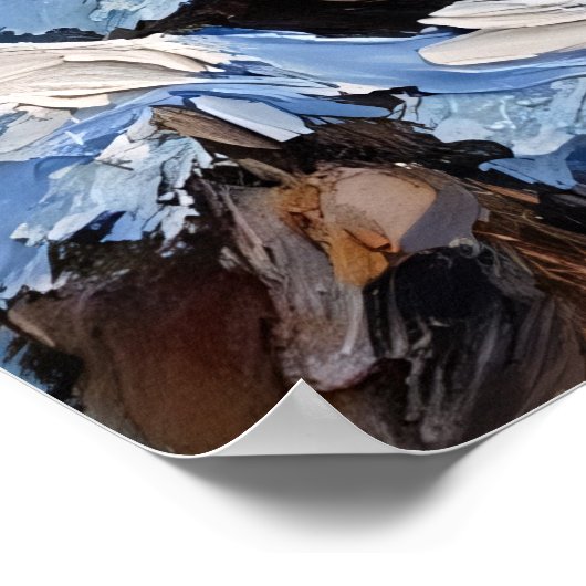 Poster Sérénade enneigée : Vue panoramique au clair de lu (Coin)