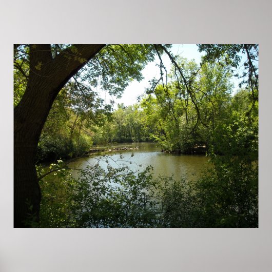 Poster serène (Devant)