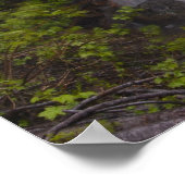 Poster Serene (Coin)