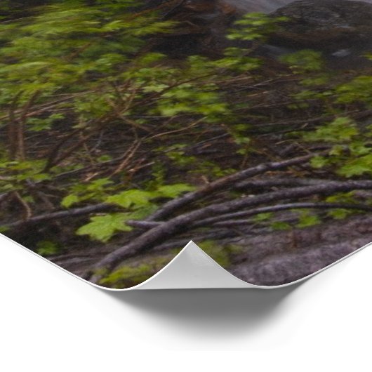 Poster Serene (Coin)