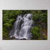 Poster Serene (Devant)