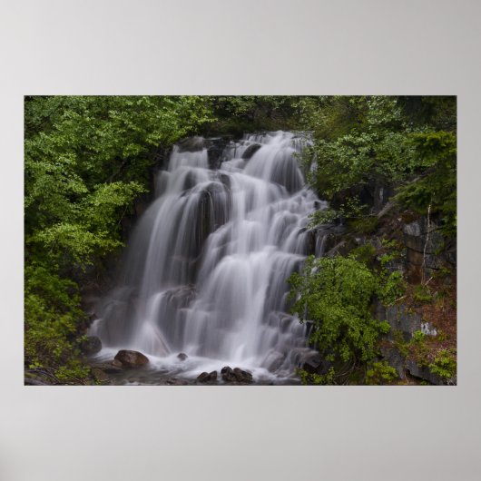 Poster Serene (Devant)