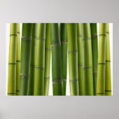 Poster Serene Bamboo (Devant)