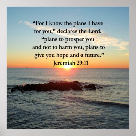 POSTER SERENE JEREMIAH 29:11 SCELER (Devant)