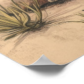 Poster Serene Mojave Sunrise : California Desert Art Impr (Coin)