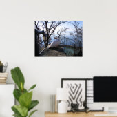 Poster Serene Overlook (Bureau à domicile)