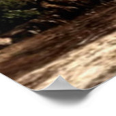 Poster Serene River Flowing Through Mountain Hill Valley  (Coin)