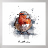 Poster Serene Robin, personnalisée (Devant)