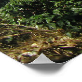 Poster Serene Vista (Coin)
