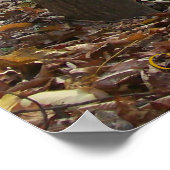 Poster Sérénité (Coin)