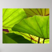 Poster Sérénité (Devant)