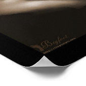 Poster Sérénité v1 (Coin)