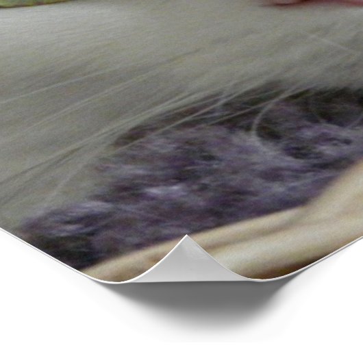 Poster Serenity Gros plan (Coin)