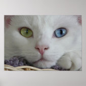 Poster Serenity Gros plan (Devant)