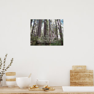 Poster Serenity Prayer Sunlit Forest Photographic