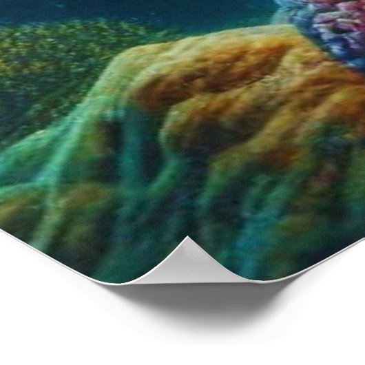 Poster Serenity Sunset Sea Turtle et Coral Reef (Coin)