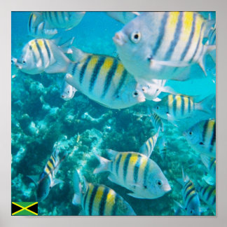 Poster sergent de la jamaïque