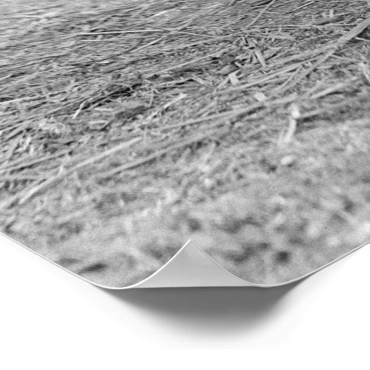 Poster Sergent-major Jiggs : 1925 (Coin)