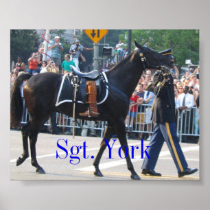 Poster Sergent York le cheval Riderless