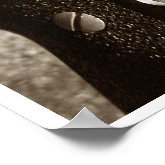 Poster Série d'armes (Coin)