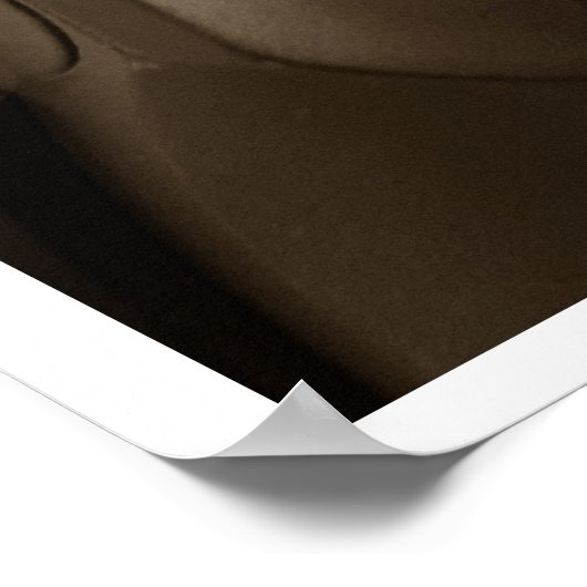 Poster Série d'armes (Coin)