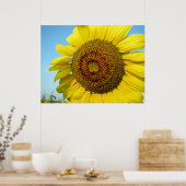 Poster Série de tournesols (Cuisine)