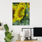 Poster Série de tournesols (Bureau à domicile)