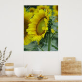 Poster Série de tournesols (Cuisine)