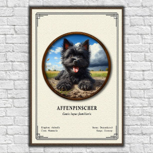 Poster Série de zoologie Affenpinscher