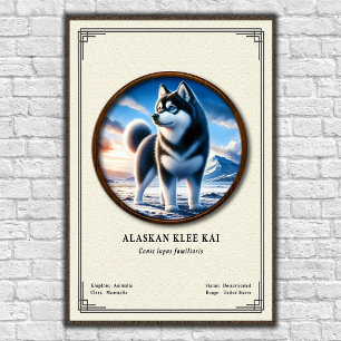 Poster Série de zoologie Alaskan Klee Kai