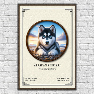 Poster Série de zoologie Alaskan Klee Kai