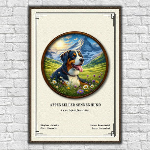 Poster Série de zoologie Appenzeller Sennenhund
