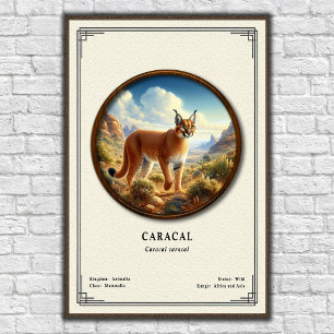 Poster Série de zoologie Caracal