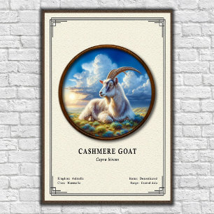 Poster Série de zoologie de la chèvre cashmere