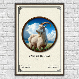 Poster Série de zoologie de la chèvre cashmere