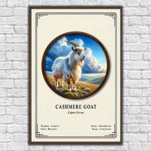 Poster Série de zoologie de la chèvre cashmere