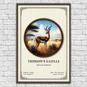 Poster Série de zoologie de la gazelle de Thomson