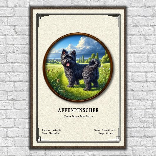 Poster Série de zoologie de l'Affenpinscher