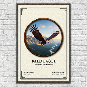 Poster Série de zoologie de l'aigle royal