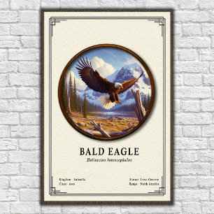Poster Série de zoologie de l'aigle royal