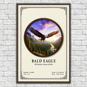 Poster Série de zoologie de l'aigle royal