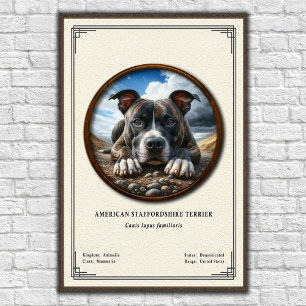 Poster Série de zoologie de l'American Staffordshire Terr
