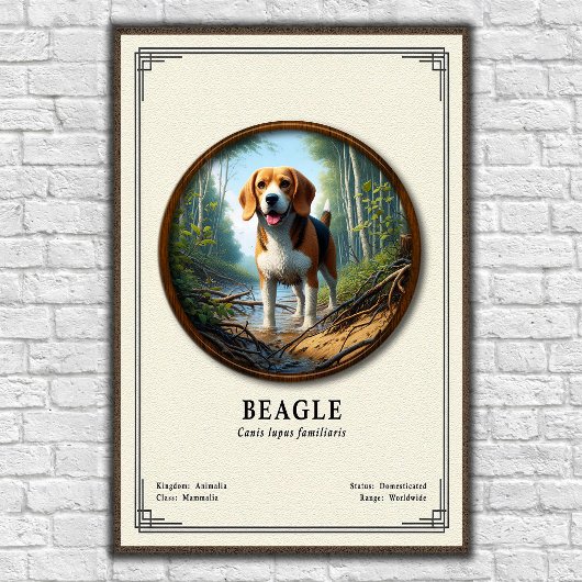 Poster Série de zoologie du Beagle