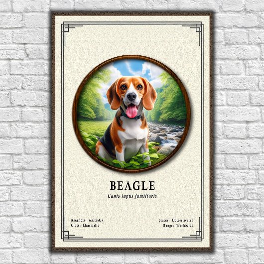 Poster Série de zoologie du Beagle