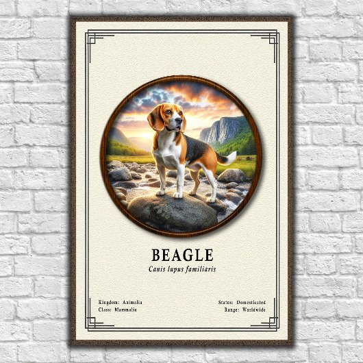 Poster Série de zoologie du Beagle