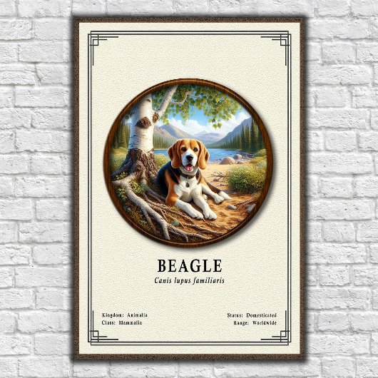 Poster Série de zoologie du Beagle